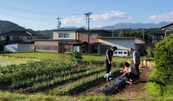 ジョブテラス山の畑　メイン画像