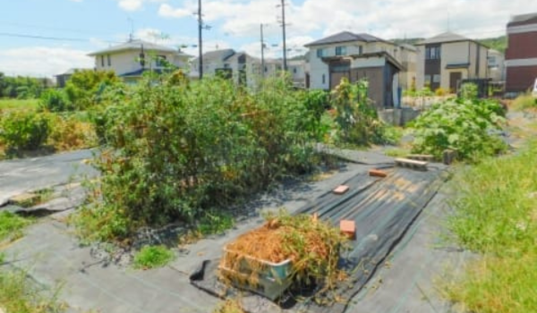 NPO法人夢街道国際交流子ども館サブ画像2